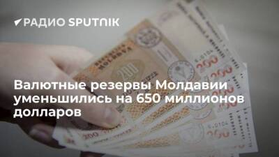Молдавия - Глава Нацбанка Молдавии Армашу: за последние полгода валютные резервы сократились на 650 млн долларов - smartmoney.one - Молдавия