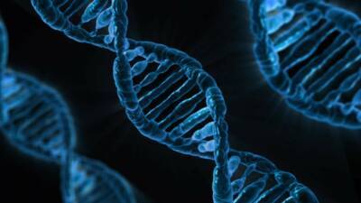 Ученые полностью секвенировали геном человека, в том числе «мусорную ДНК» - itc.ua - Украина