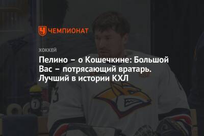 Василий Кошечкин - Пелино – о Кошечкине: Большой Вас – потрясающий вратарь. Лучший в истории КХЛ - championat.com - Пекин