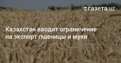 Казахстан вводит ограничение на экспорт пшеницы и муки - gazeta.uz - Россия - Украина - Армения - Казахстан - Узбекистан - Белоруссия - Киргизия