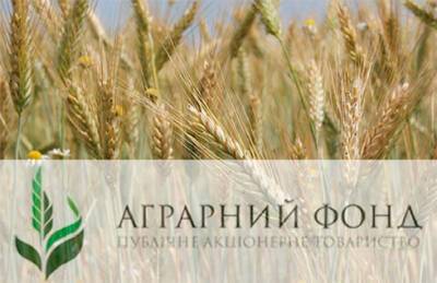 Аграрный фонд приступил к закупкам зерна нынешнего урожая - bin.ua - Россия - Украина