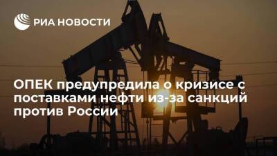 Мохаммед Баркиндо - Генсек ОПЕК Баркиндо: санкции против России могут привести к кризису с поставками нефти - smartmoney.one - Россия