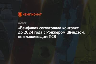 Фабрицио Романо - «Бенфика» согласовала контракт до 2024 года с Роджером Шмидтом, возглавляющим ПСВ - championat.com - Голландия