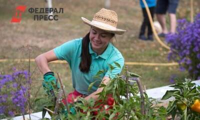Челябинские дачники остались без польских роз и можжевельника: чем заменят - smartmoney.one - Узбекистан - Челябинская обл. - Челябинск - Таджикистан