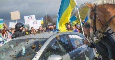 В Германии участников автопробега в поддержку РФ забросали конским навозом (видео) - focus.ua - Россия - Украина - Германия - Польша