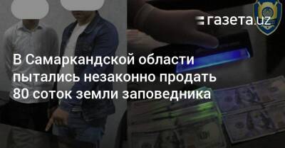 В Самаркандской области пытались незаконно продать 80 соток земли заповедника - gazeta.uz - Узбекистан