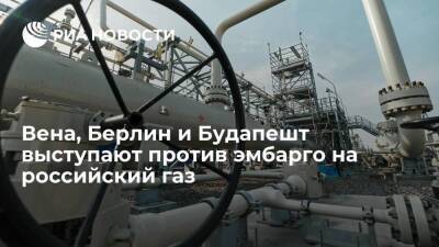 Владимир Путин - Австрия - Берлин - Канцлер Австрии Нехаммер: Вена, Берлин и Будапешт против эмбарго на российский газ - smartmoney.one - Москва - Австрия - Россия - Берлин - Будапешт - Вена - Москва