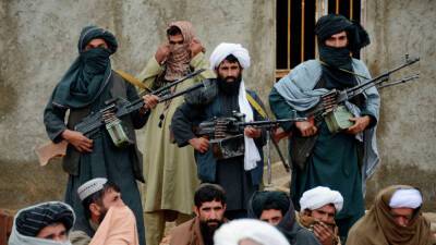 Забихулла Муджахид - Талибы попросили США "не волноваться" о правах человека в Афганистане - podrobno.uz - США - New York - Узбекистан - Афганистан - Того - Ташкент