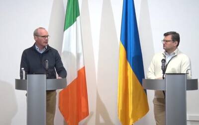 Владимир Зеленский - Дмитрий Кулебой - Ирландия - Ирландия будет способствовать вступлению Украины в ЕС - korrespondent.net - Россия - Украина - Киев - Ляйен - Ирландия