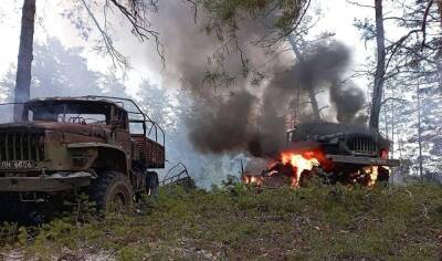 Позывной "Волк": на Киевщине местный житель устроил охоту на оккупантов, в разведке раскрыли детали - politeka.net - Украина - Киев - Киевская обл. - Брянская обл. - Киев