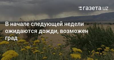 В начале следующей недели ожидаются дожди, возможен град - gazeta.uz - Узбекистан - Иран - Туркмения