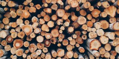 Запрет на импорт в ЕС российской древесины обойдется ей в $6 млрд в год - biz.nv.ua - Россия - Украина - Германия - Эстония - Финляндия - Голландия
