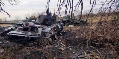 За сутки украинские бойцы на востоке уничтожили 22 оккупанта, танк и два вражеских беспилотника - nv.ua - Россия - Украина - Донбасс