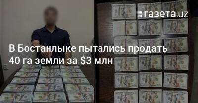 В Бостанлыке пытались продать 40 га земли за $3 млн - gazeta.uz - Узбекистан - Ташкент - район Бостанлыкский