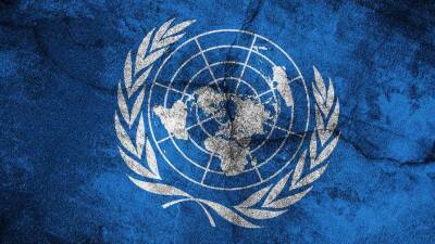 ООН: С начала войны в Украине 1982 убитых мирных жителя, и 2651 ранен - vedomosti-ua.com - Россия - Украина