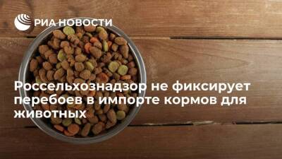 Россельхознадзор не фиксирует серьезных перебоев в импорте кормов для домашних животных - smartmoney.one - Австрия - Норвегия - Россия - Китай - Англия - Бельгия - Италия - Германия - Франция - Бразилия - Венгрия - Испания - Сербия - Дания - Голландия