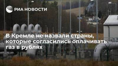 Владимир Путин - Дмитрий Песков - Александр Новак - Песков: данные о том, какие страны будут оплачивать газ в рублях, не подлежат публикации - smartmoney.one - Россия
