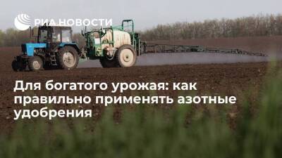 Для богатого урожая: как правильно применять азотные удобрения - smartmoney.one - Россия