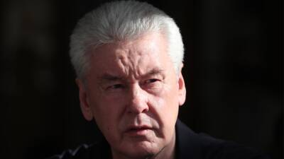 Владимир Путин - Сергей Собянин - Уволенным москвичам предложат общественные работы в парках - svoboda.org - Москва - Россия - США - Украина