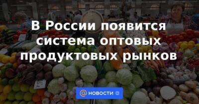 Владимир Путин - Михаил Мишустин - Дмитрий Григоренко - В России появится система оптовых продуктовых рынков - smartmoney.one - Россия - Украина