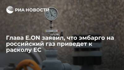 Роберт Хабек - Глава E.ON Бирнбаум: эмбарго на российский газ может привести к расколу Евросоюза - smartmoney.one - Австрия - Россия - США - Германия - Берлин - Чехия - Словакия - Катар - Европа