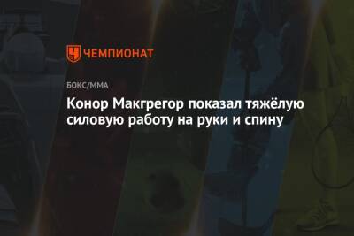 Дастин Порье - Генри Сехудо - Конор Макгрегор - Дана Уайт - Конор Макгрегор показал тяжёлую силовую работу на руки и спину - championat.com - США - Ирландия