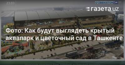 Фото: Как будут выглядеть крытый аквапарк и цветочный сад в Ташкенте - gazeta.uz - Узбекистан - Ташкент - район Яшнабадский