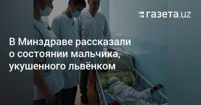 В Минздраве рассказали о состоянии мальчика, укушенного львёнком - gazeta.uz - Узбекистан - район Мирзо-Улугбекский