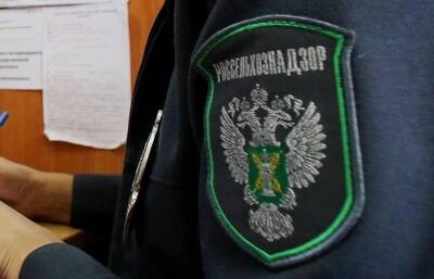 Россельхознадзор: с 21 марта до 1 сентября 2022 года вводится временная упрощенная схема декларирования продукции - afanasy.biz - Россия - Тверская обл. - Ярославская обл.