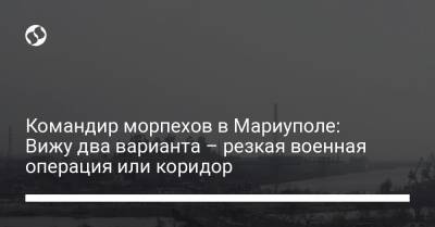 Командир морпехов в Мариуполе: Вижу два варианта – резкая военная операция или коридор - liga.net - Россия - Украина - Херсон - Мариуполь
