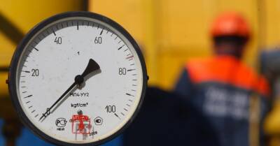 Конкретную дату отказа от российского газа в законопроекте установить пока не удалось - rus.delfi.lv - Россия - Эстония - Латвия