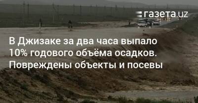 В Джизаке за два часа выпало 10% годового объёма осадков. Повреждены объекты и посевы - gazeta.uz - Узбекистан - Джизакская обл.