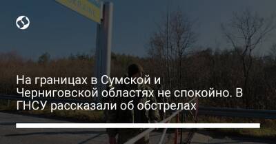 Андрей Демченко - На границах в Сумской и Черниговской областях не спокойно. В ГНСУ рассказали об обстрелах - liga.net - Россия - Украина - Сумская обл. - Черниговская обл. - населенный пункт Синьковка