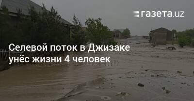 Селевой поток в Джизакской области унёс жизни 4 человек - gazeta.uz - Узбекистан - Джизакская обл.