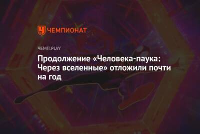 Продолжение «Человека-паука: Через вселенные» отложили почти на год - championat.com - Вашингтон