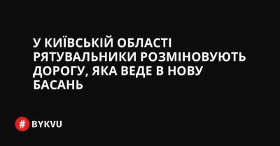 У Київській області рятувальники розміновують дорогу, яка веде в Нову Басань - bykvu.com - Украина - Twitter