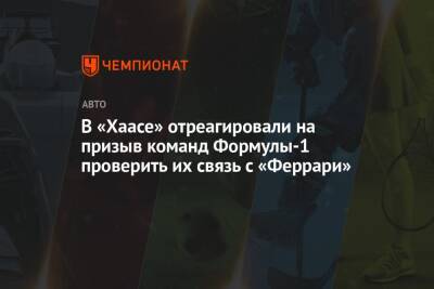 Гюнтер Штайнер - В «Хаасе» отреагировали на призыв команд Формулы-1 проверить их связь с «Феррари» - championat.com