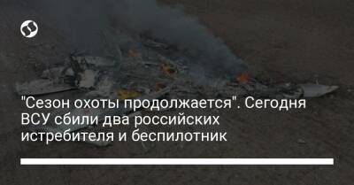 "Сезон охоты продолжается". Сегодня ВСУ сбили два российских истребителя и беспилотник - liga.net - Россия - Украина - Донецкая обл.