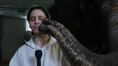 Участники конкурса «Школа реальных дел» представят свои проекты о Росгосцирке - parkseason.ru - Москва - Россия - Новости