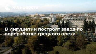 Около ста миллионов рублей вложат в первый в Ингушетии завод по переработке грецкого ореха - smartmoney.one - респ. Ингушетия