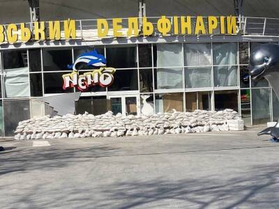 Морских животных из харьковского дельфинария везут в Одессу - nv.ua - Россия - Украина - Казахстан - Белоруссия - Одесса - Харьков - Одесса - Харьков