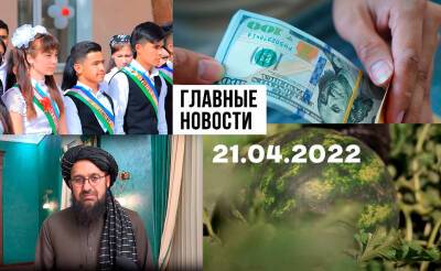 Смелые дети, настоящий монстр и талибы обещали защиту. Новости Узбекистана: главное на 21 апреля - podrobno.uz - Узбекистан - Афганистан - Ташкент