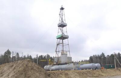 Новое месторождение нефти обнаружено в Брагинском районе: более 6 млн тонн - ont.by - Белоруссия - район Жлобинский - район Брагинский - район Хойникский