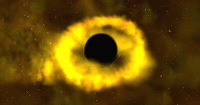 Пожиратели звезд. Ученые выяснили, что нужно черным дырам для выживания - focus.ua - Украина - штат Вашингтон