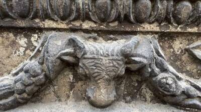 В Турции на стене старинного замка обнаружена голова быка возрастом 2500 лет (Фото) - lenta.ua - Норвегия - Украина - Турция - Ирак