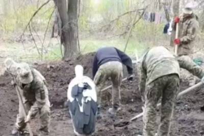 Антон Геращенко - Предвещает радость и счастье: украинские защитники увидели хороший знак на своих позициях, видео - politeka.net - Россия - Украина