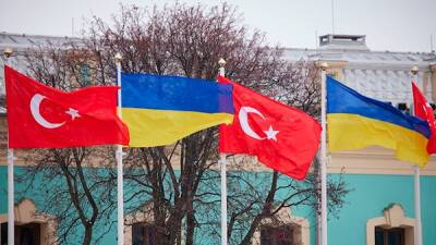 Юлия Свириденко - Турция рассмотрит выделение для Украины дополнительных объемов топлива - bin.ua - Украина - Турция