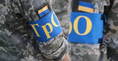 Не все добровольцы ТРО смогут получить удостоверение участника боевых действий: кто именно - dsnews.ua - Россия - Украина