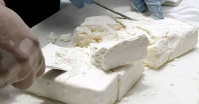 В Эстонии задержан груз кокаина почти на полмиллиарда евро - rus.delfi.lv - Россия - Эстония - Голландия - Эквадор - Латвия - Роттердам