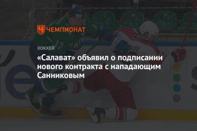 Степан Санников - «Салават» объявил о подписании нового контракта с нападающим Санниковым - championat.com - Россия - Уфа